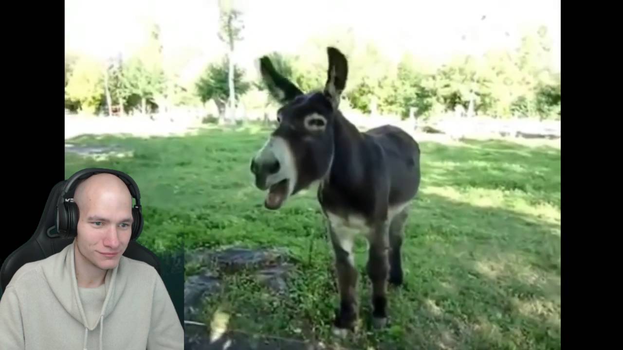 Ez&uacute;ttal &ouml;sszej&ouml;tt? | Try Not To Laugh #2