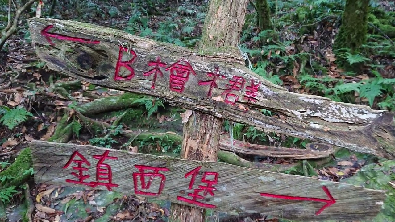 泰崗鎮西堡神木園區超馬~戀戀超馬