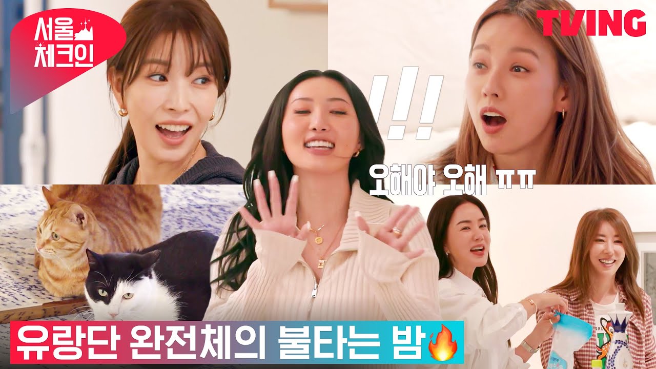 [서울체크인] 유랑단 완전체 in 완선네! 불타는 밤🔥 | 3화 하이라이트