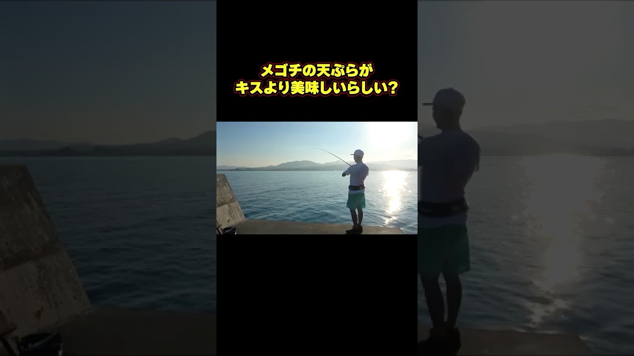 メゴチって美味いの？ #釣り#料理 #アナハゼティ #shorts