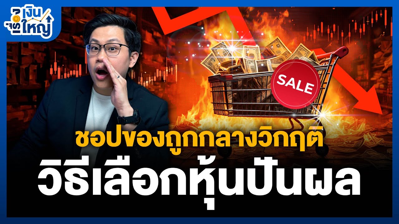 สอนวิธีเลือกหุ้นปันผล หุ้นไทยไหนน่าเก็บ | Money Buffalo