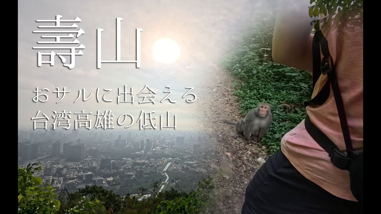 壽山～サルに出会える台灣高雄の低山～
