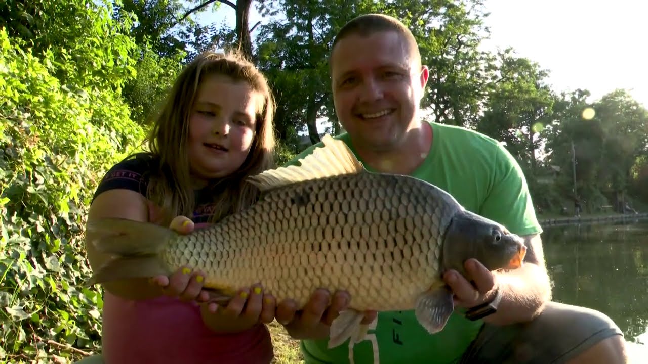 Dovit-method feeder ( Ny&aacute;rv&eacute;gi kalandok )