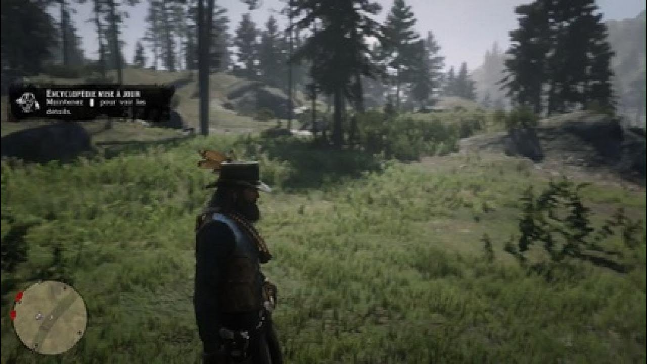 Red Dead 2 : 3 star couguar