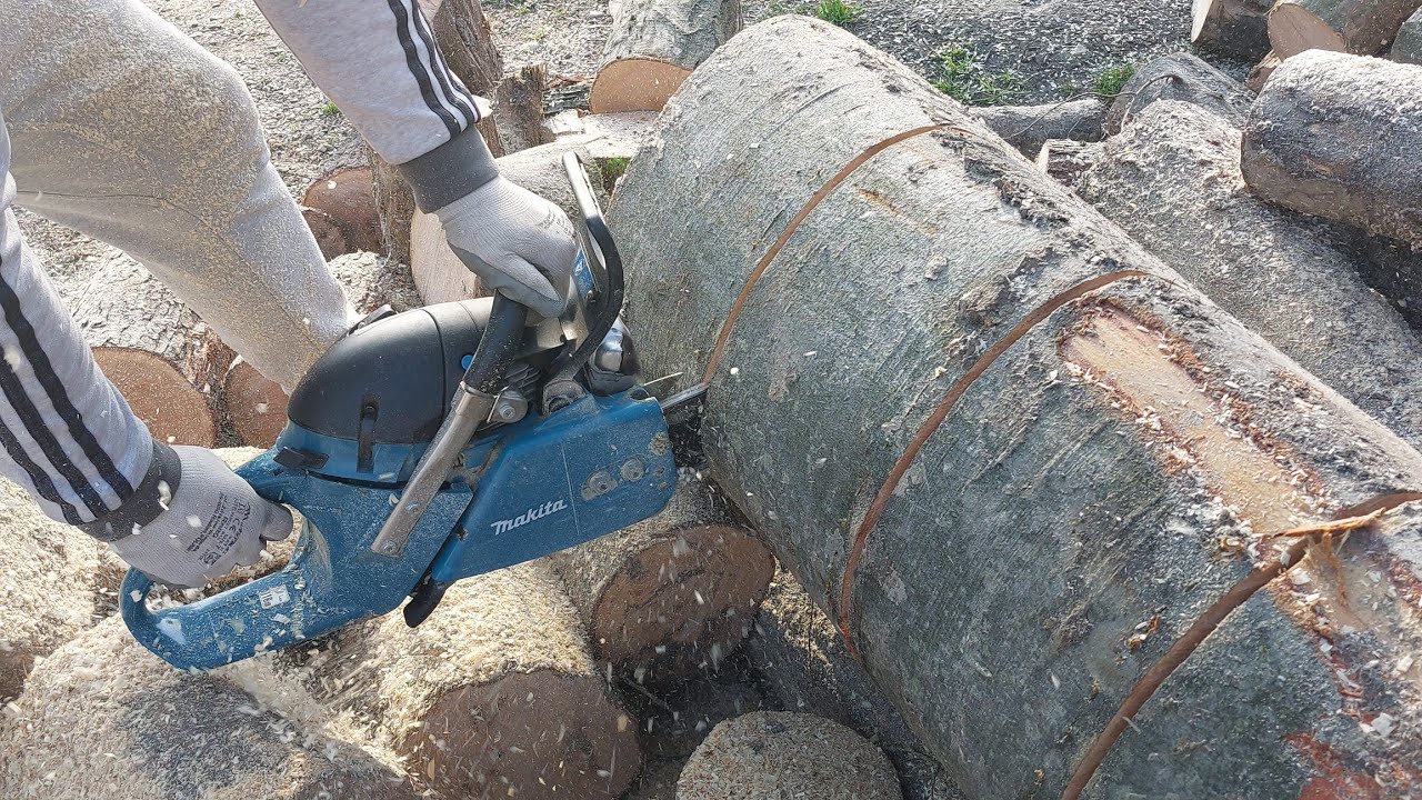 Makita Chainsaw in Dirty Wood #chainsaw #drujba #makita