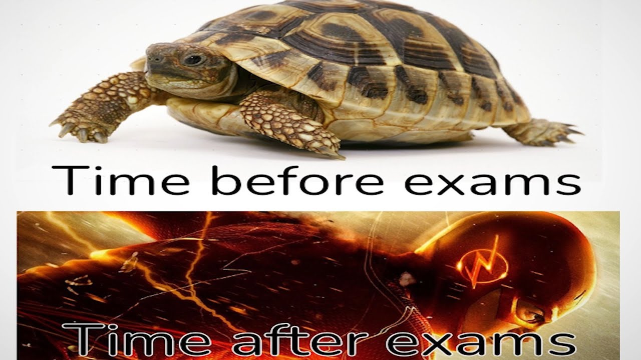 SCHOOL MEMES (exam edition)