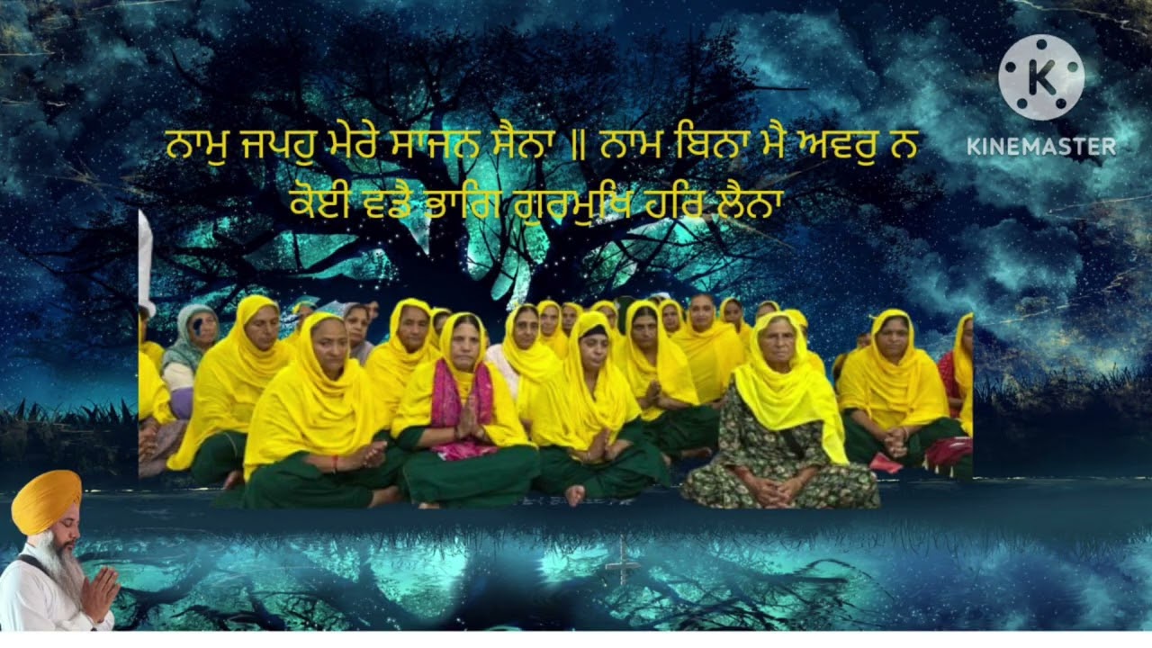 ਨਾਮ ਜਪਹੁ ਮੇਰੇ ਸਾਜਨ#ਭਾਈ ਰਘਵੀਰ ਸਿੰਘ 