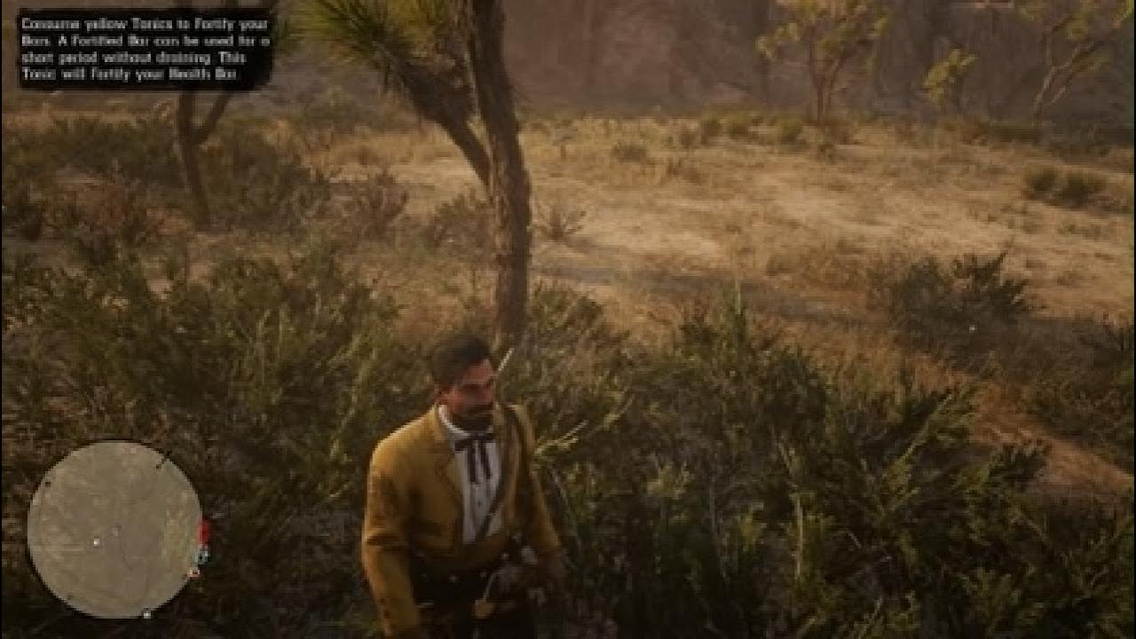 Red Dead Redemption 2_20251027181420