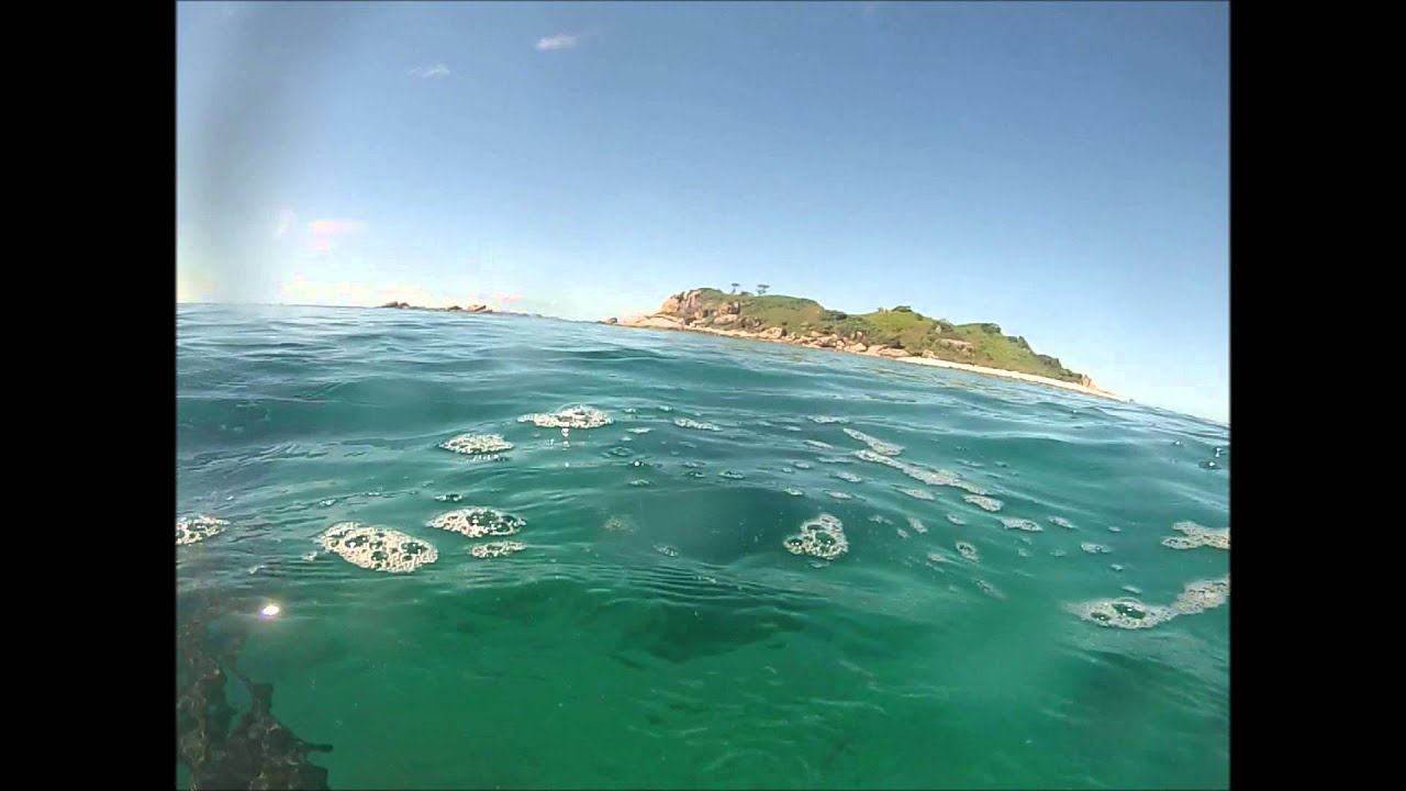 Spearfishing palm island