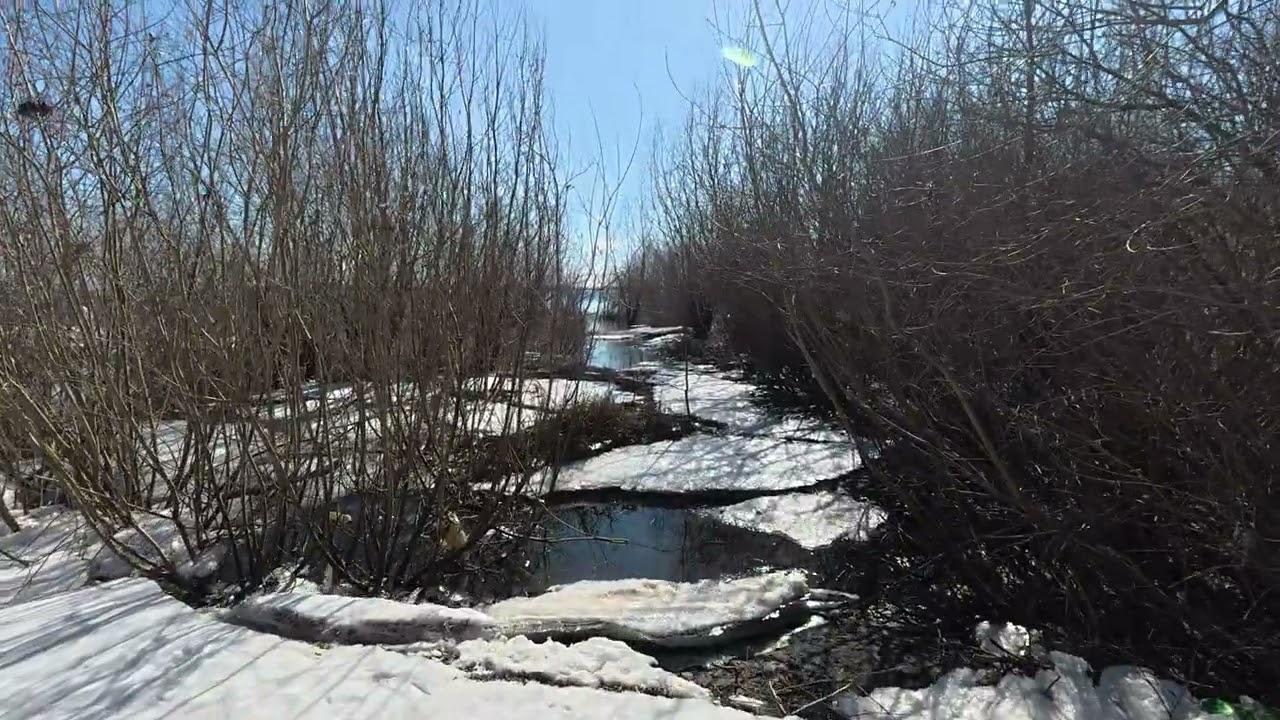 Лёд на берегу Волги