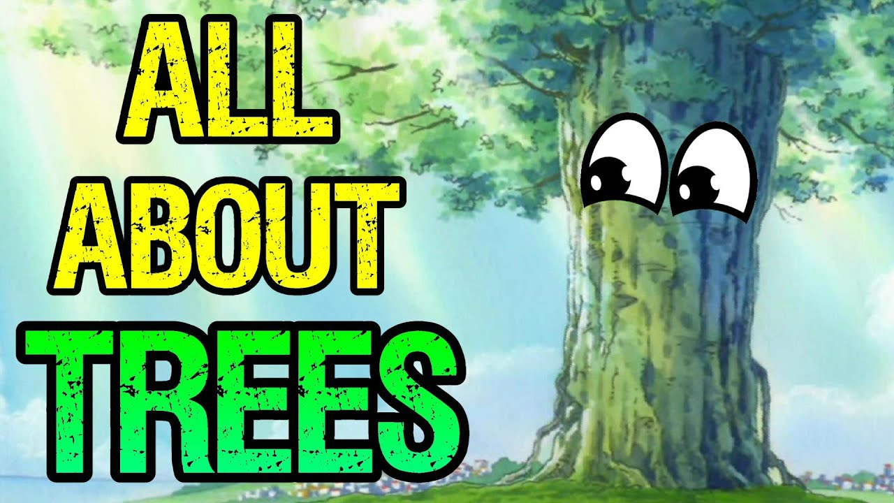 Trees Of The World!! Treasures of Adam and Sunlight of Eve - One Piece Discussion | Tekking101