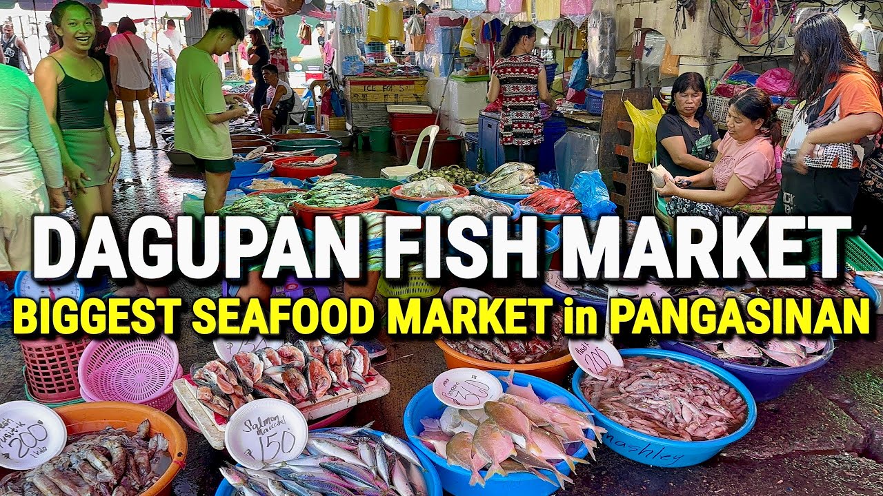Philippines Seafood Market at DAGUPAN FISH MARKET 🇵🇭 The BIGGEST Fresh Seafood Market in Pangasinan!