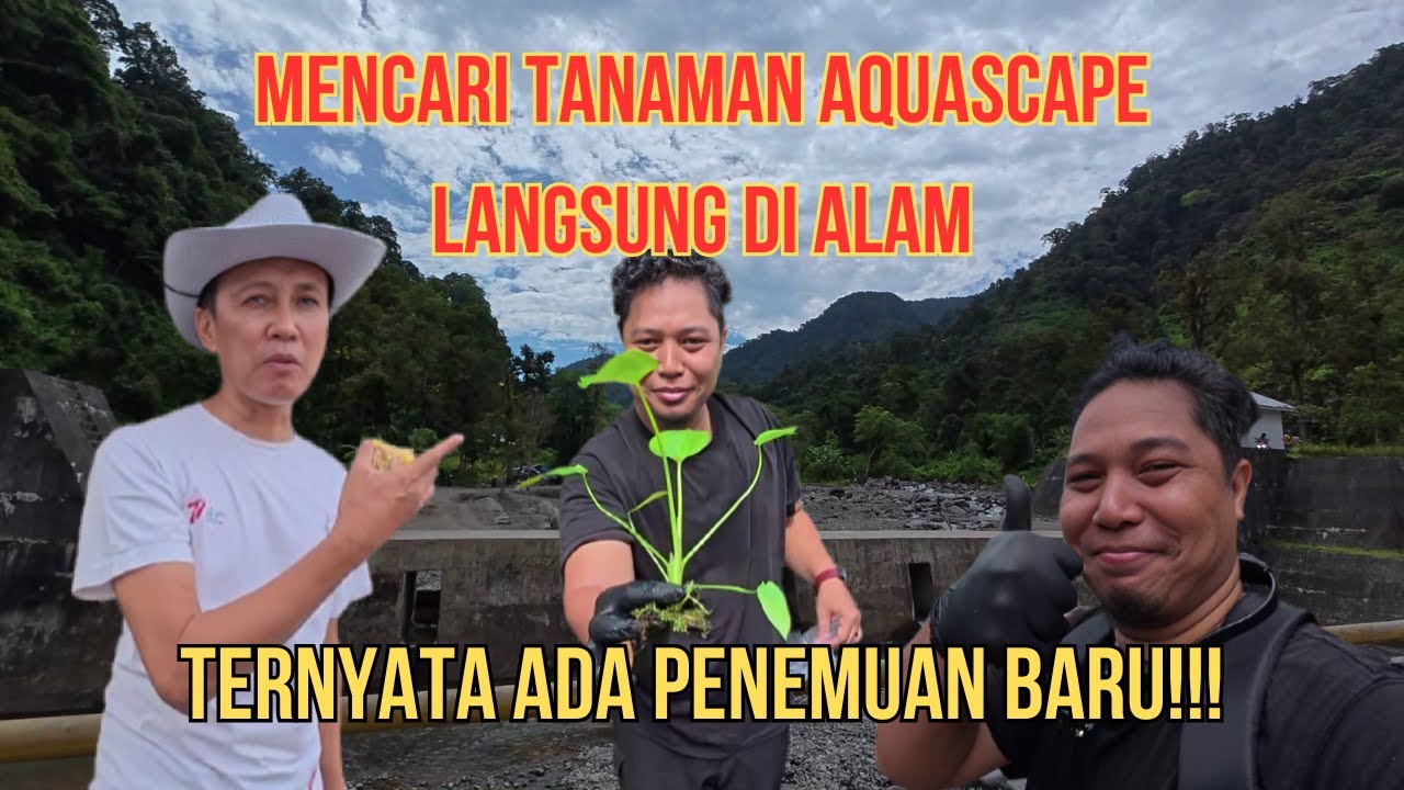 BUKAN VLOG #72 || MENCARI TANAMAN AQUASCAPE LIAR DIALAM ||BERUJUNG MENEMUKAN SESUATU YANG MENARIK