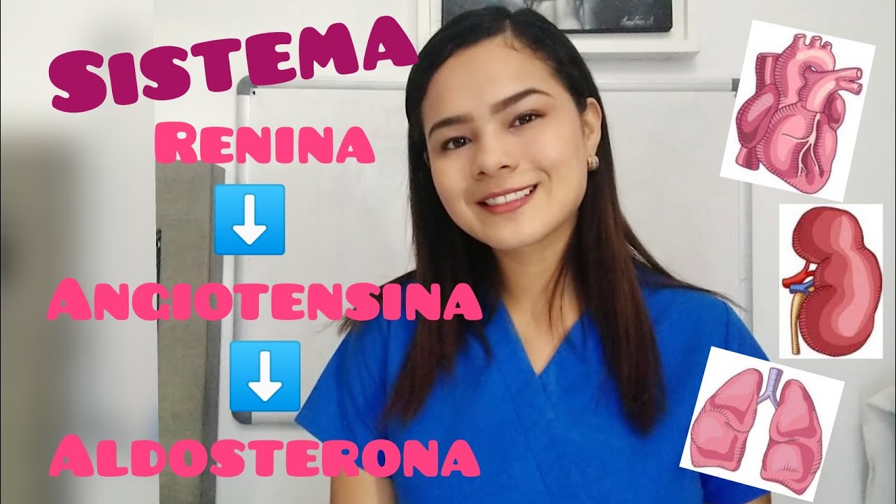 Sistema Renina-Angiotensina-Aldosterona 🔁