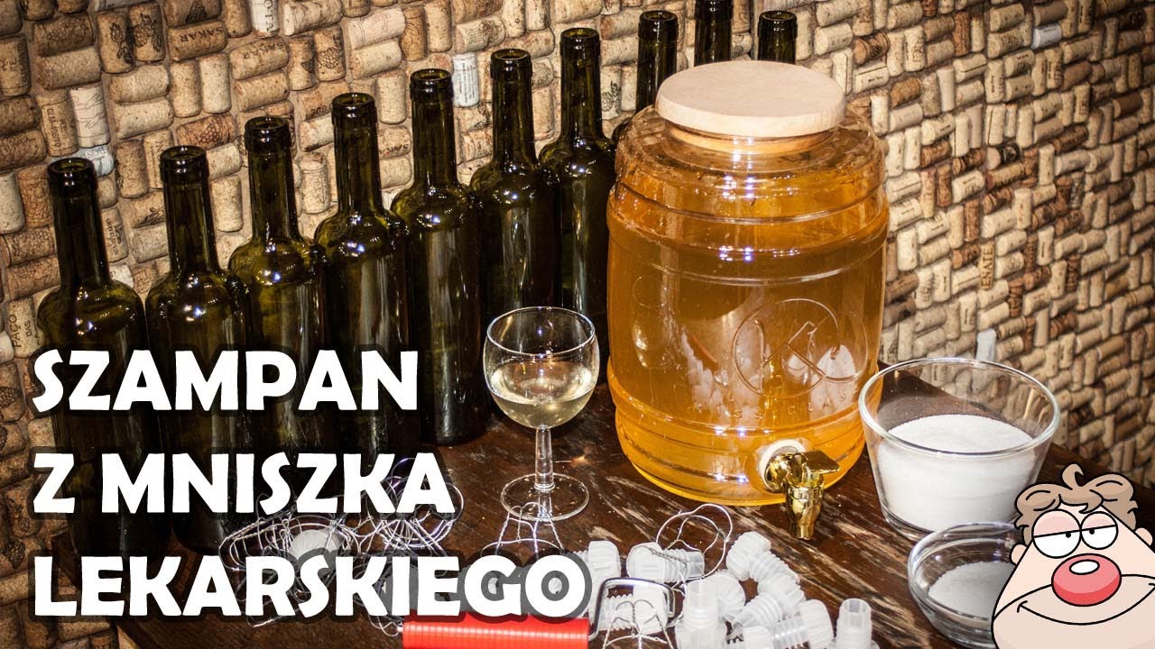 🥂 Szampan czyli wino musujące z Mniszka Lekarskiego (mlecza) cz.2🥂