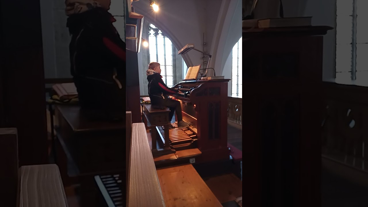 2. Prealudium von Bach in D-Moll #music #piano #organ #cover #pianomusic 
