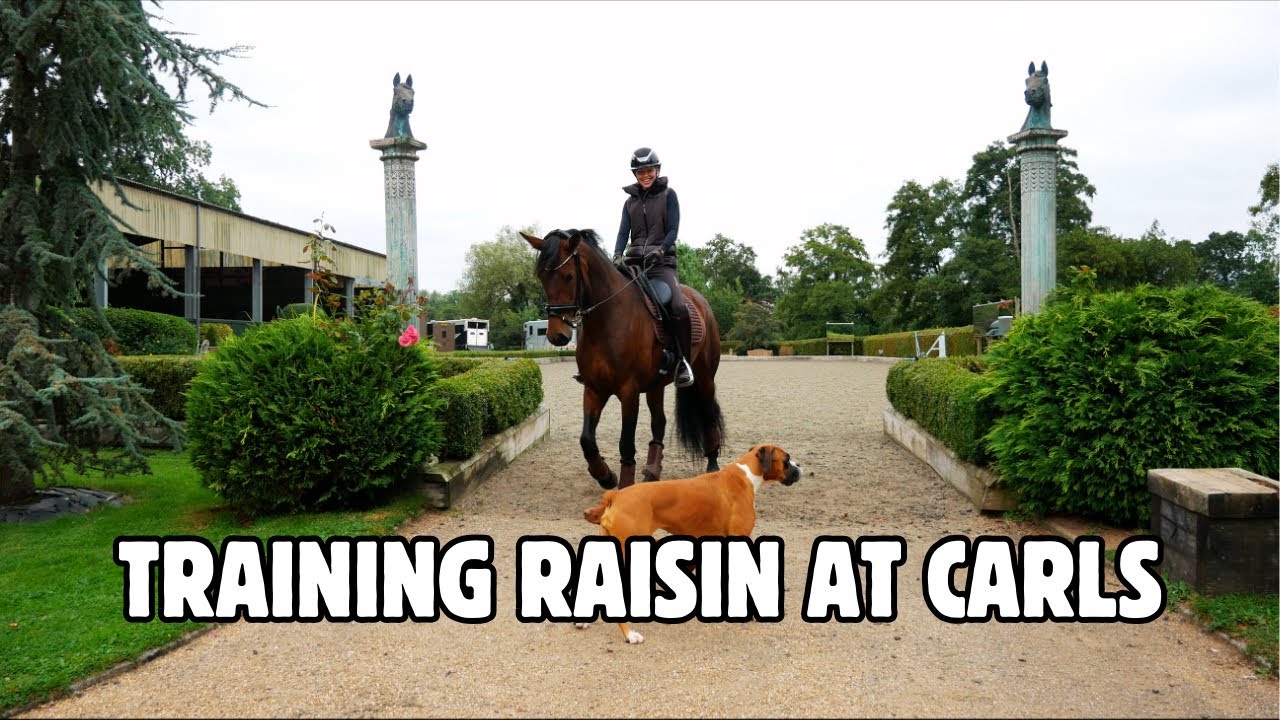 I HAD MY SECOND LESSON WITH CARL