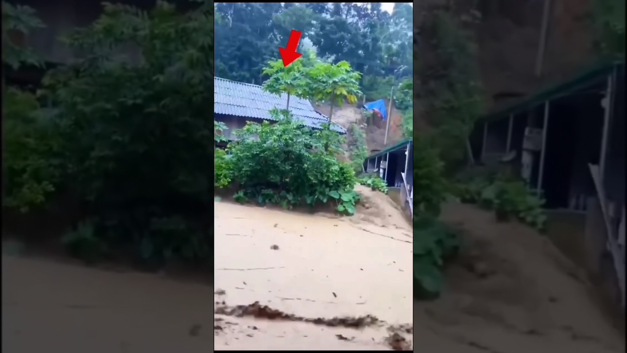 Flood Scenes 😱🌊 Unbelievable Nature!