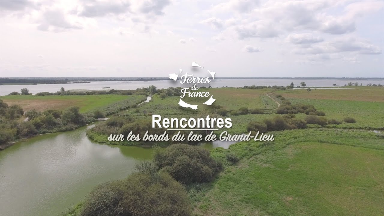 Rencontres sur les bords du lac de Grand-Lieu