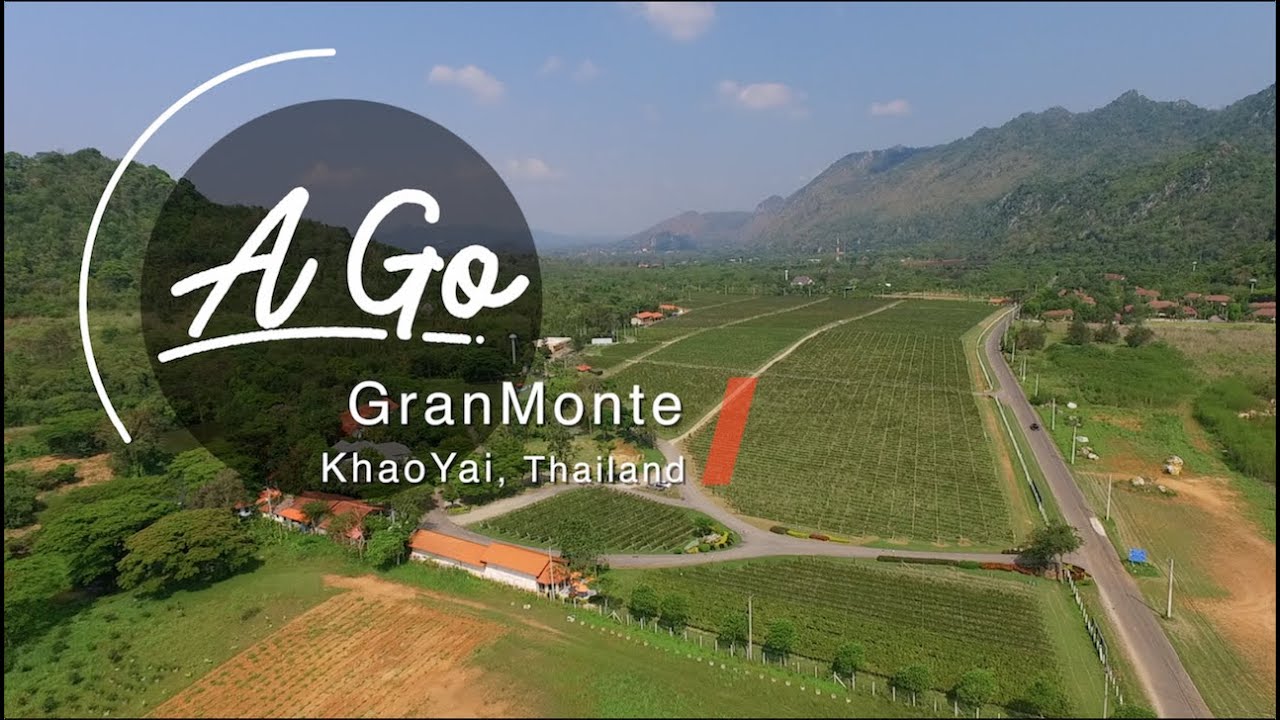 A Go GoodTaste | Montino & VinCotto GranMonte @KhaoYai, Thailand | A Go
