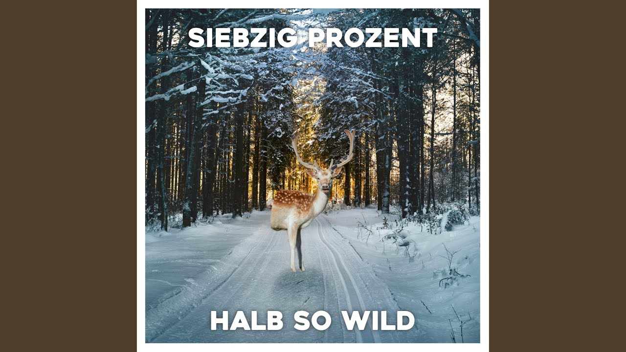 Halb so wild (feat. Vicious C)