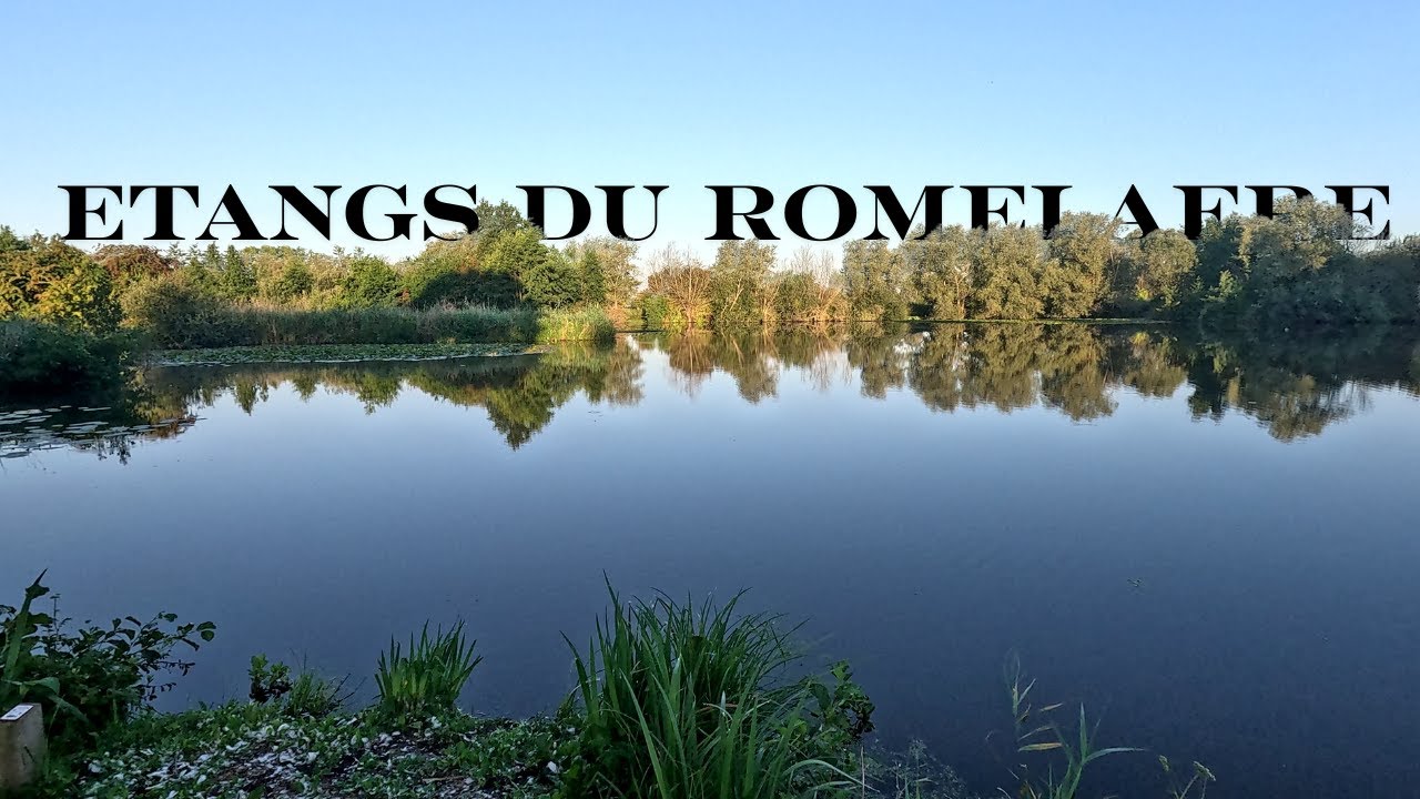 LES ETANGS DU ROMELAERE à ST OMER, Une jolie randonnée à la Golden Hour - WE Hauts-de-France PART 5