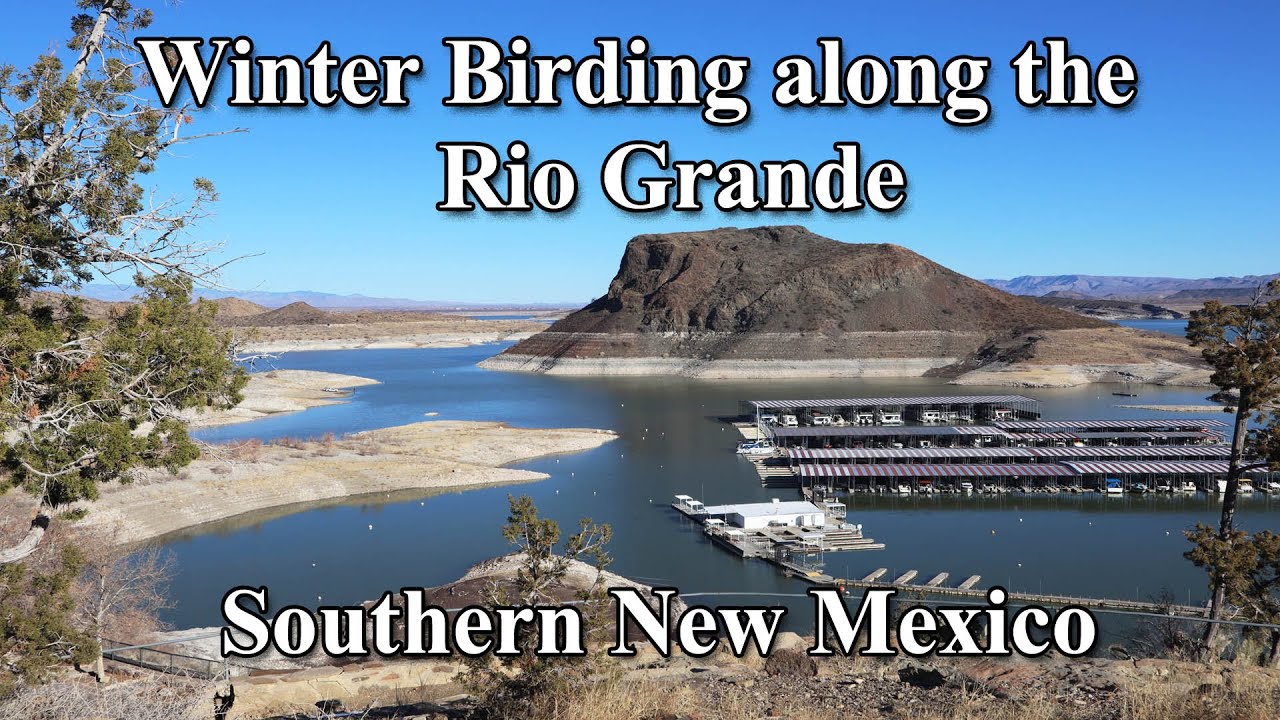 Winter Birding in Southern New Mexico: The Rio Grande.