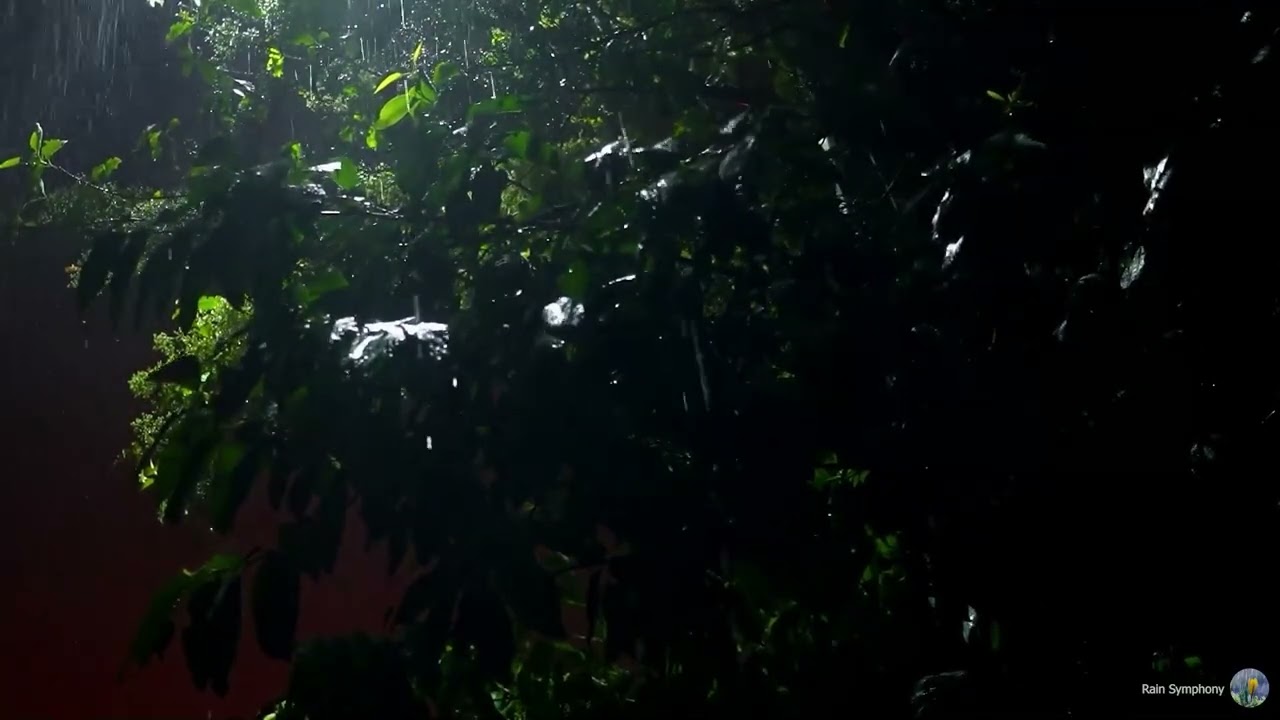 Gentle Night Rain for Deep Sleep & Relaxation – Calm Ambience, No Distractions, No Ads