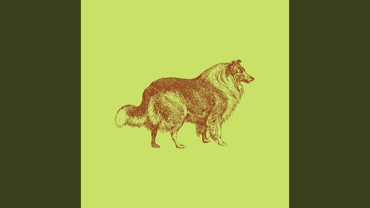 Contemporary Jazz Waltz - Vibe for Roaming Puppy