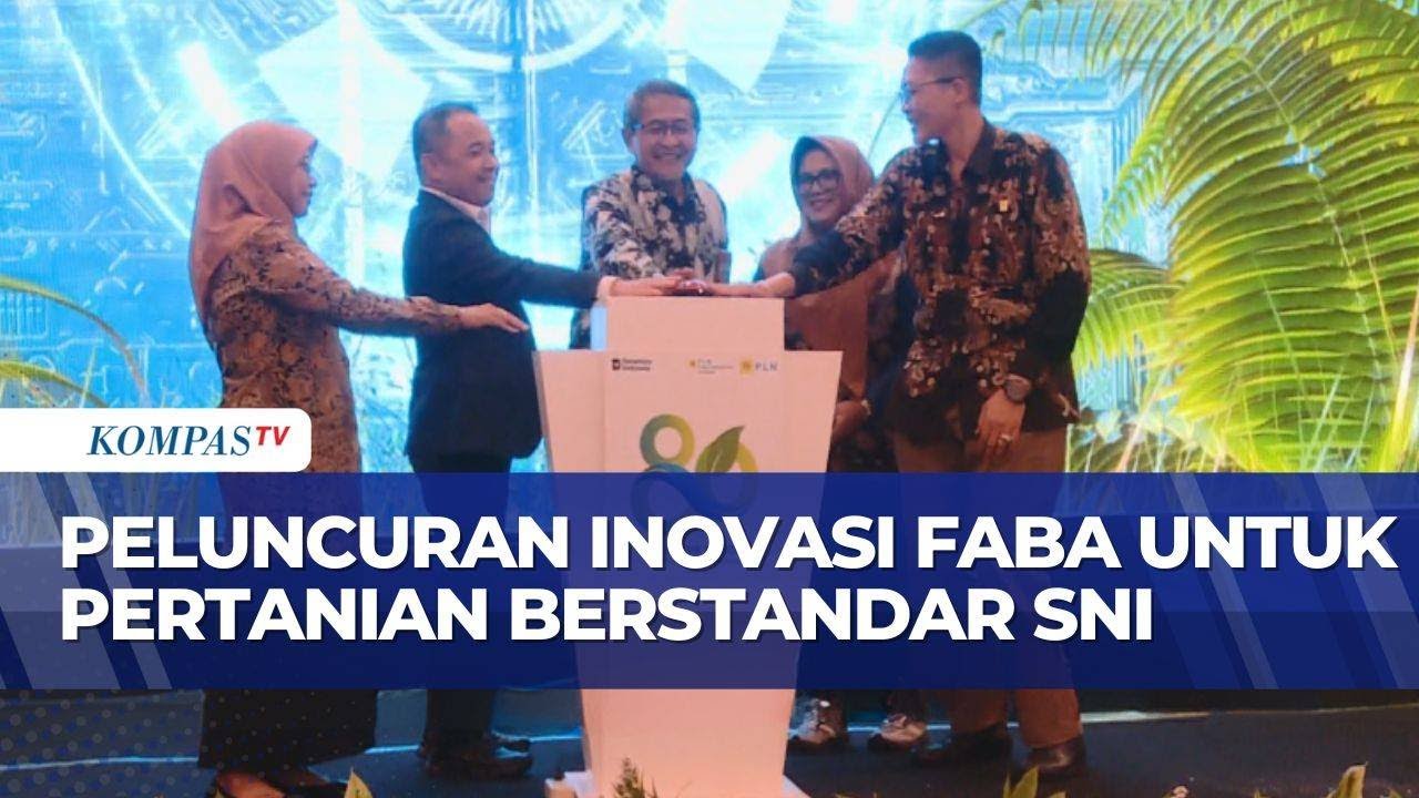 PLN Gandeng BSN Luncurkan Program Pemanfaatan FABA untuk Pertanian Berstandar SNI | SAPA PAGI
