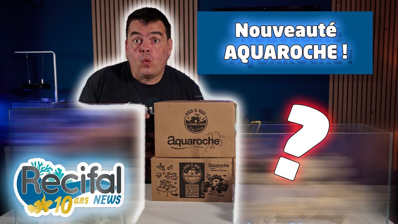 Aquaroche Rock & Reef Connexion Scape it Easy.