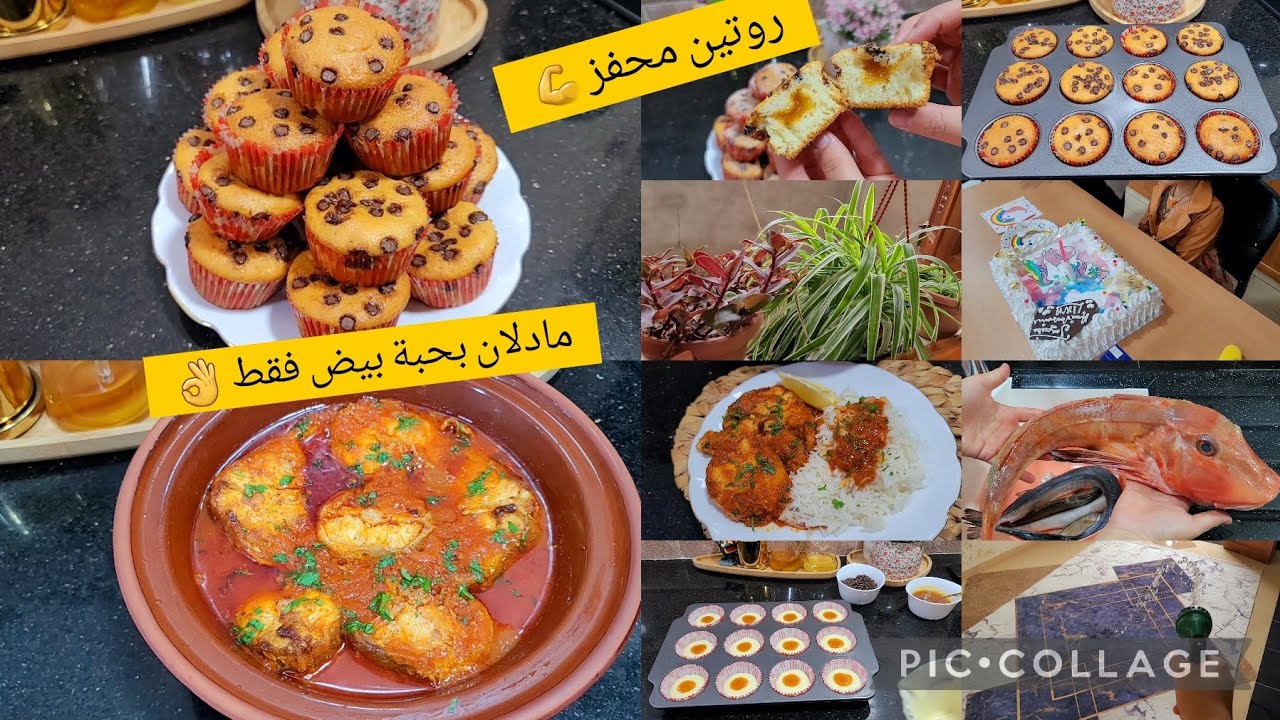 شاركتكم مقتطفات من روتيني اليومي غسلت الزرابا،مادلان بحبة بيض،شطيطحة حوت،الركن الأخضر عيد ميلاد بنتي