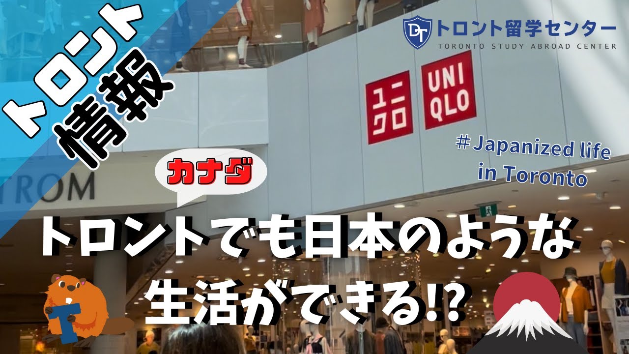 【トロント情報】トロントでも日本のような生活ができる!? Japanized life in Toronto  #カナダ留学