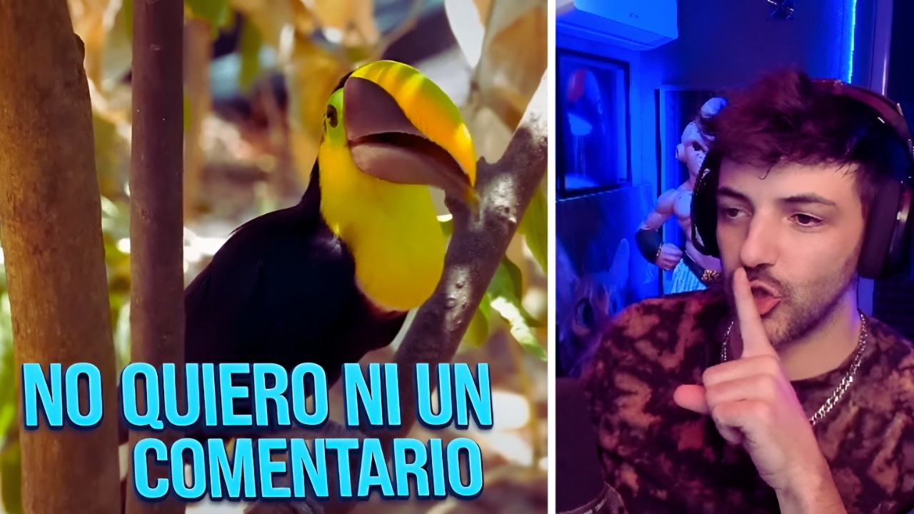 NEXXUZ REACCIONA A VIDEOS DE DINOSAURIOS