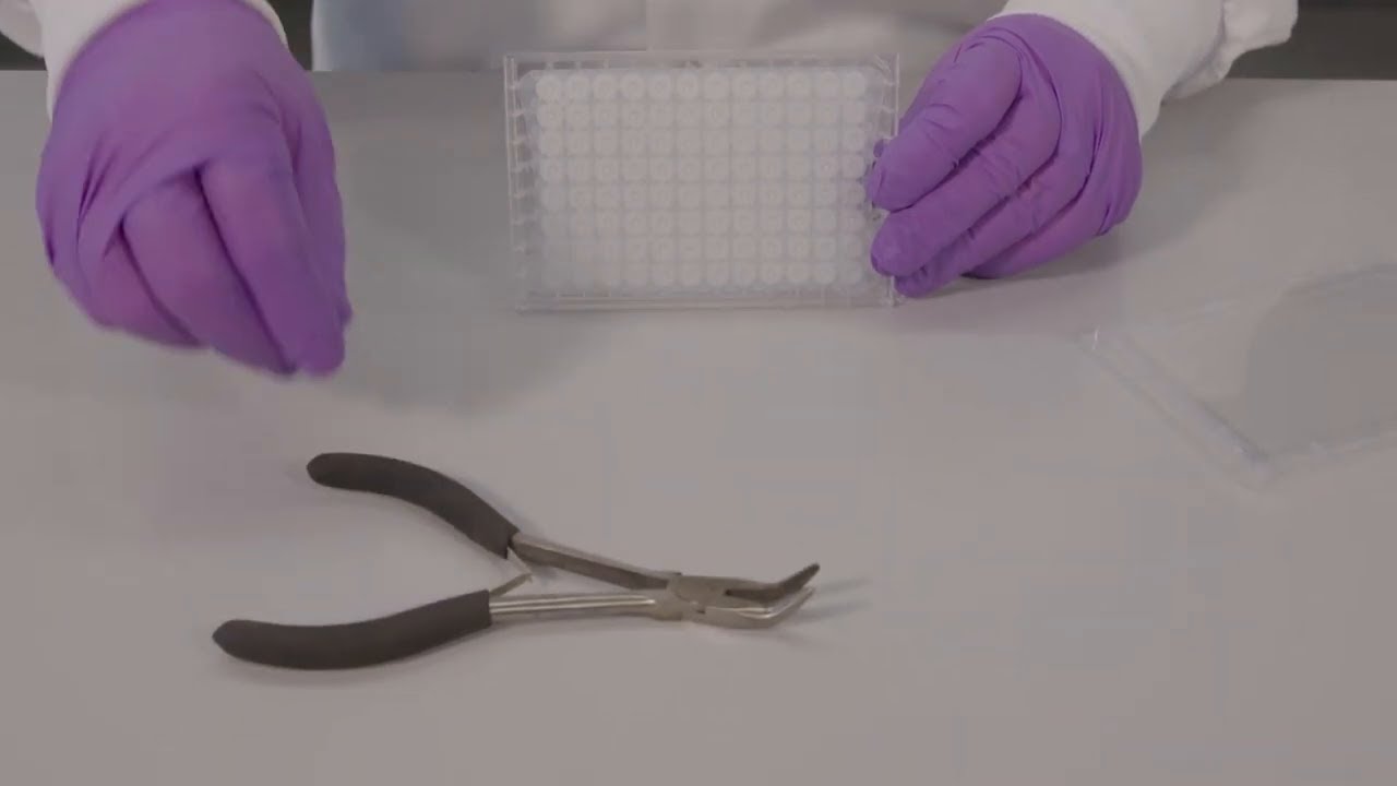 How to Remove the Underdrain of the MultiScreen® HTS Filter Plates