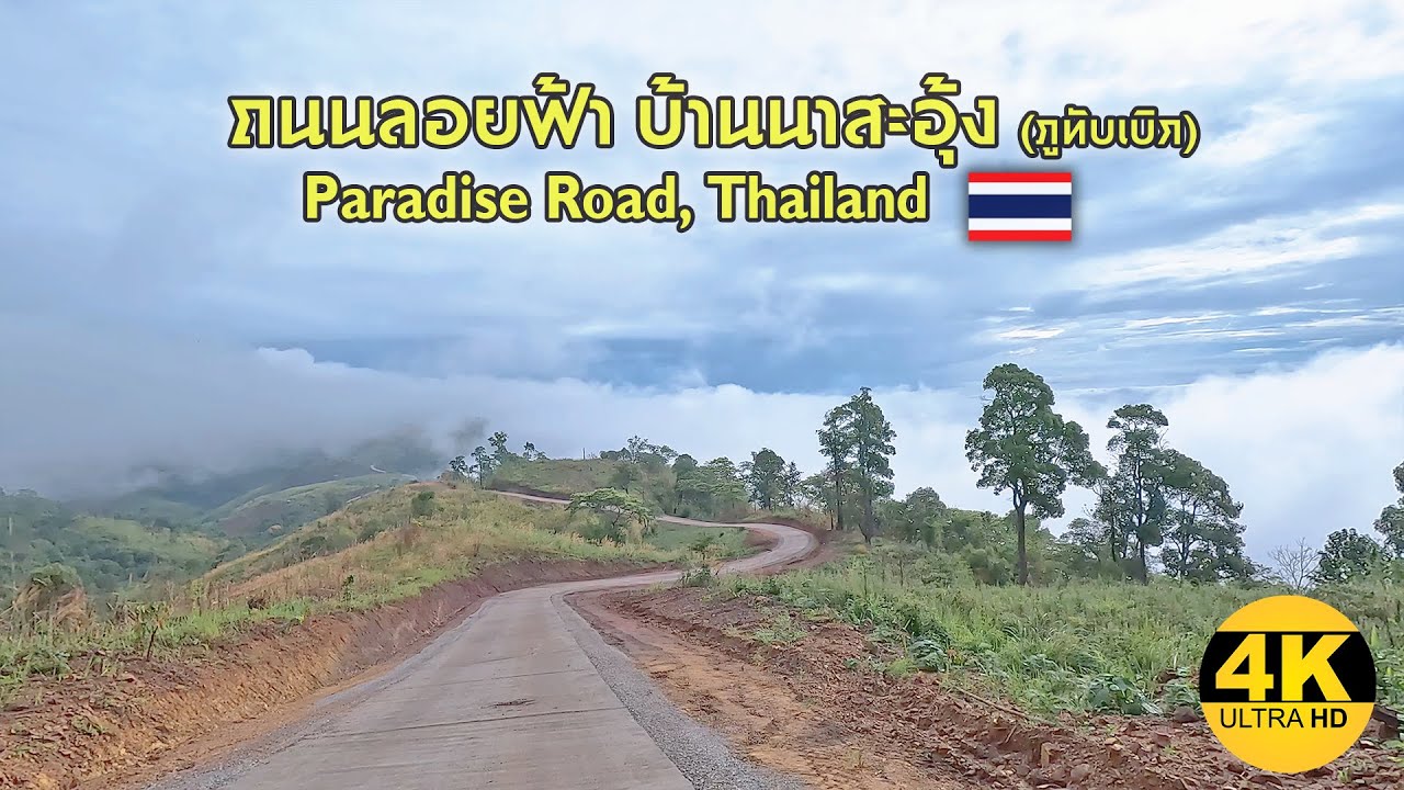 [4K] Paradise Road / ถนนลอยฟ้าบ้านนาสะอุ้ง ภูทับเบิก เหมือนหลุดเข้าไปในโลกแห่งความฝัน