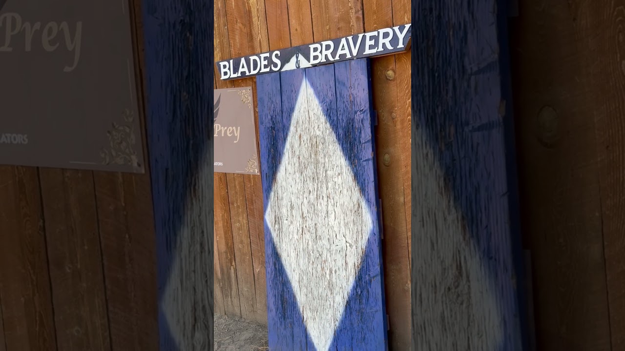 Colorado Renaissance Festival Blades and Bravery