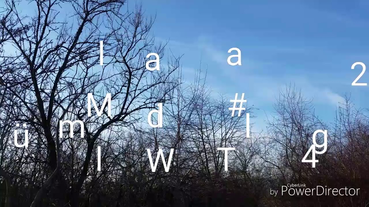 M&uuml;ll im Wald Tag#24