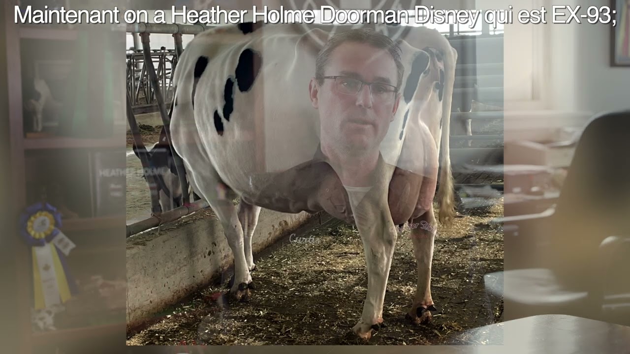 Master Breeder 2024 - Ma&icirc;tre-&eacute;leveur Heather Holme