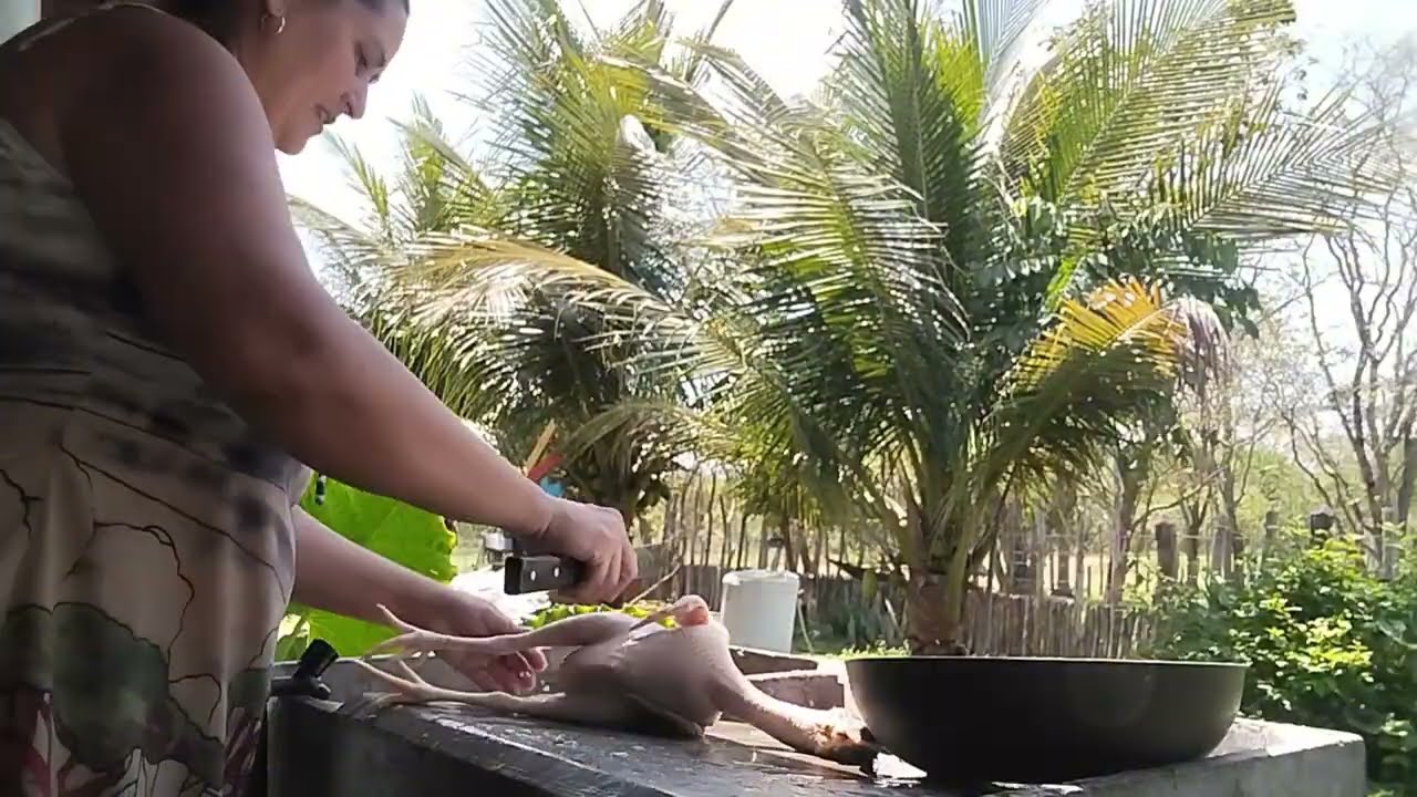 VEJA OS BODES NO CAMPO E PREPAREI UMA GALINHA CAIPIRA NO FOGÃO A LENHA 🪵