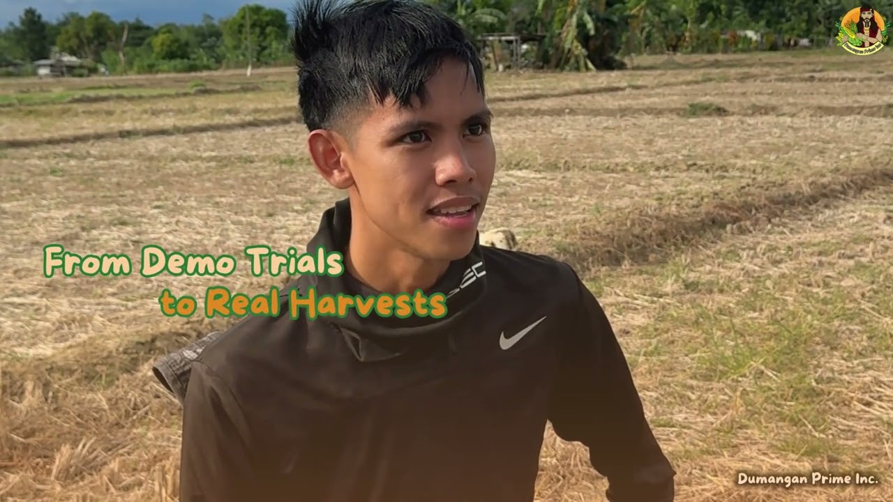 Best Micronutrient Fertilizer in the Philippines 2026