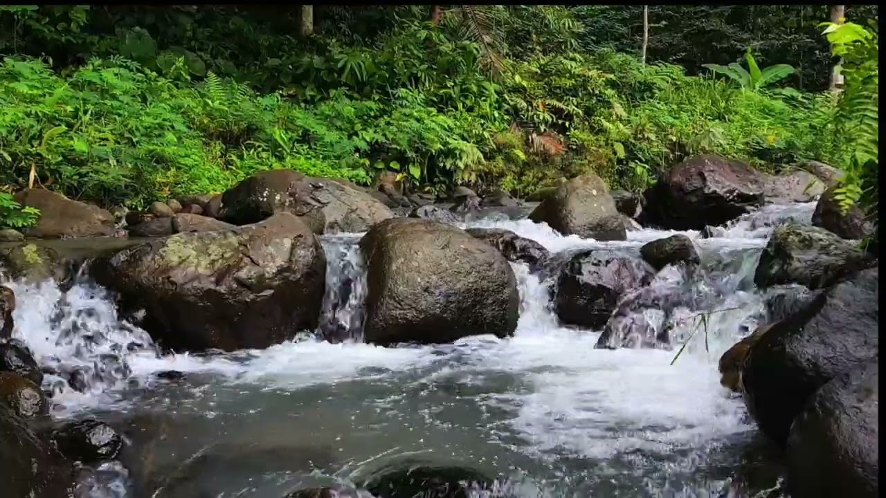 Relaxing River Stream ASMR 🌊 Natural Water Sounds for Sleep, Study & Stress Relief (No Music)