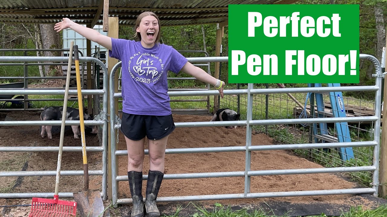 Show Pig Pen Flooring (LACED Coal Mine Belts!) #pigpen