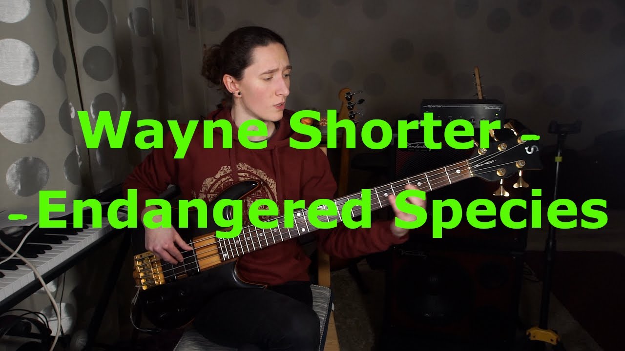 Wayne Shorter - Endangered Species - bass cover