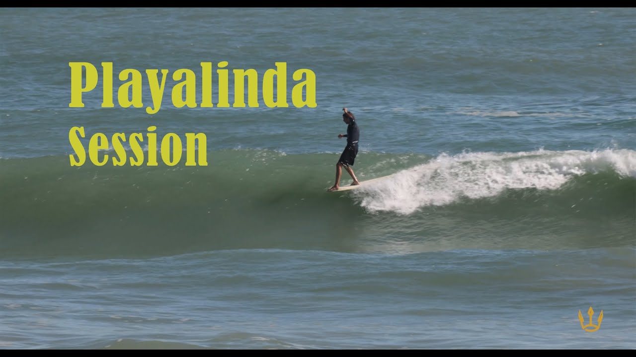 Playalinda Session - Longboard Surfing ,  Hobie , Walden , Heirloom , CJ Nelson , Black Rose .