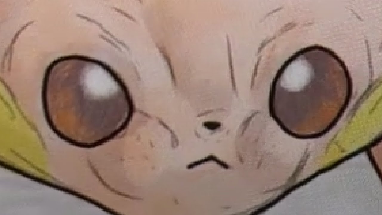 this is what a pawmi would look like without fur