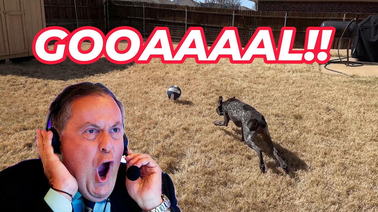 Archie the German Shorthaired Pointer Named Official Mascot of World Cup 2026