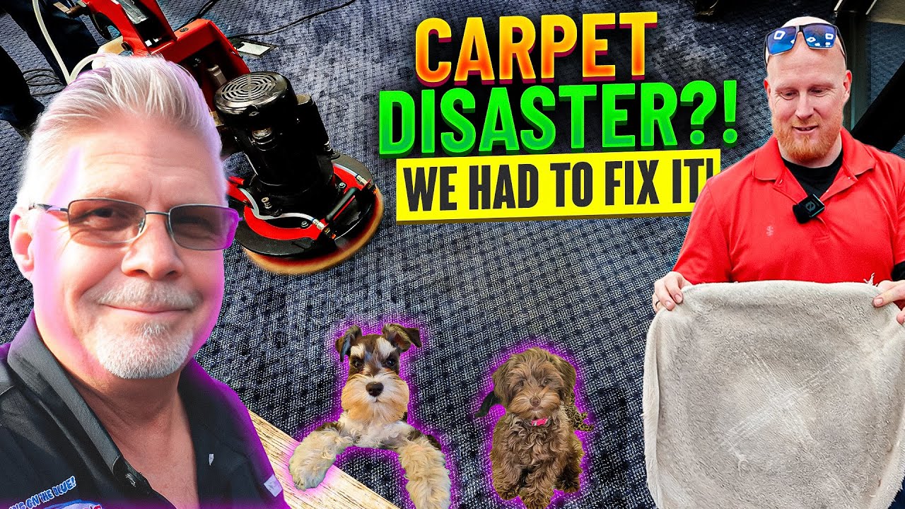Discover Why We Rushed Back to Fix This Carpet Cleaning Issue!