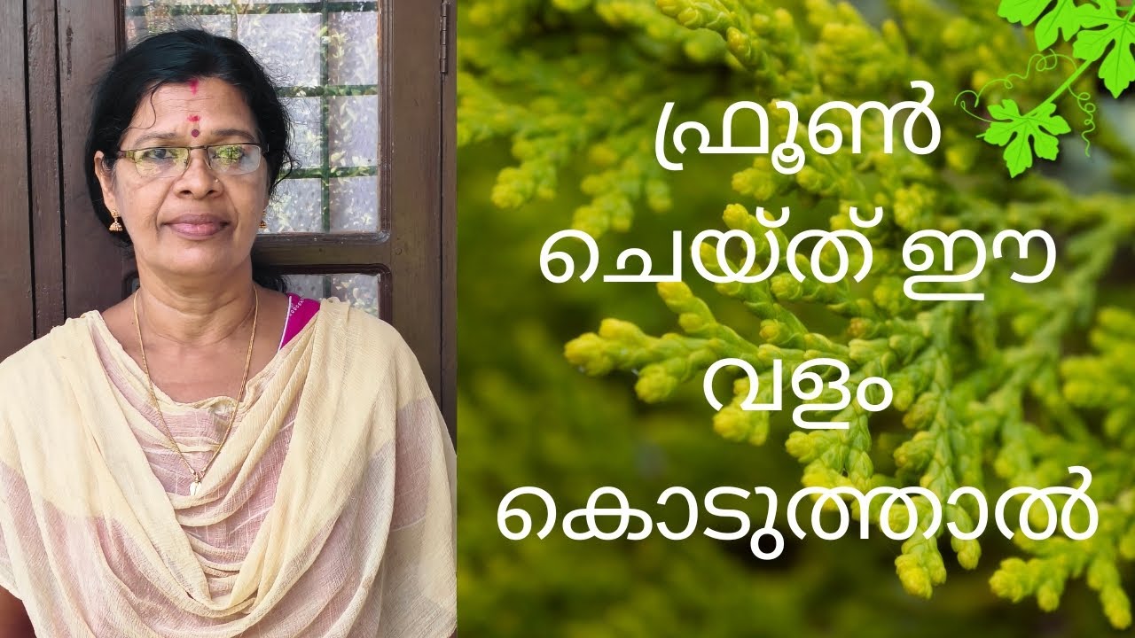 പേരയിൽ നിന്ന് ഇരട്ടി വിളവുകിട്ടും🥰