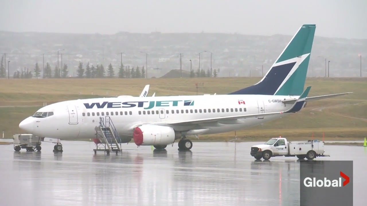 B.C. woman shares travel nightmare after her luggage goes missing (Global News)